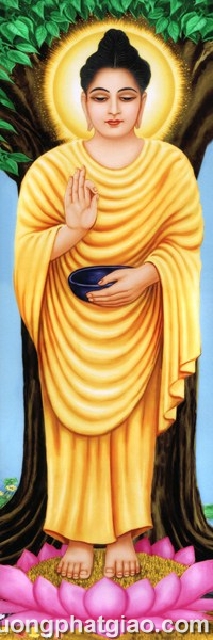 Bổn Sư Thích Ca Mâu Ni Phật (339)